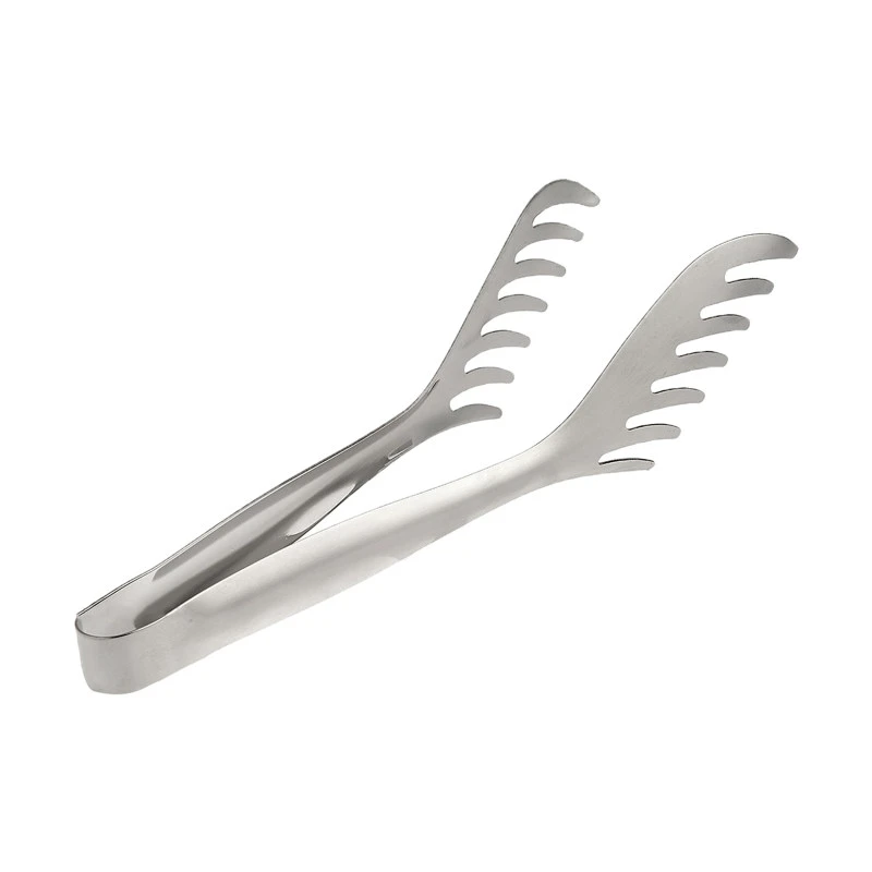 انبر سالاد شنگیا